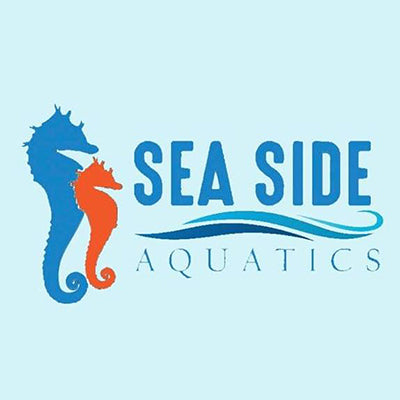 Sea Side Aquatics